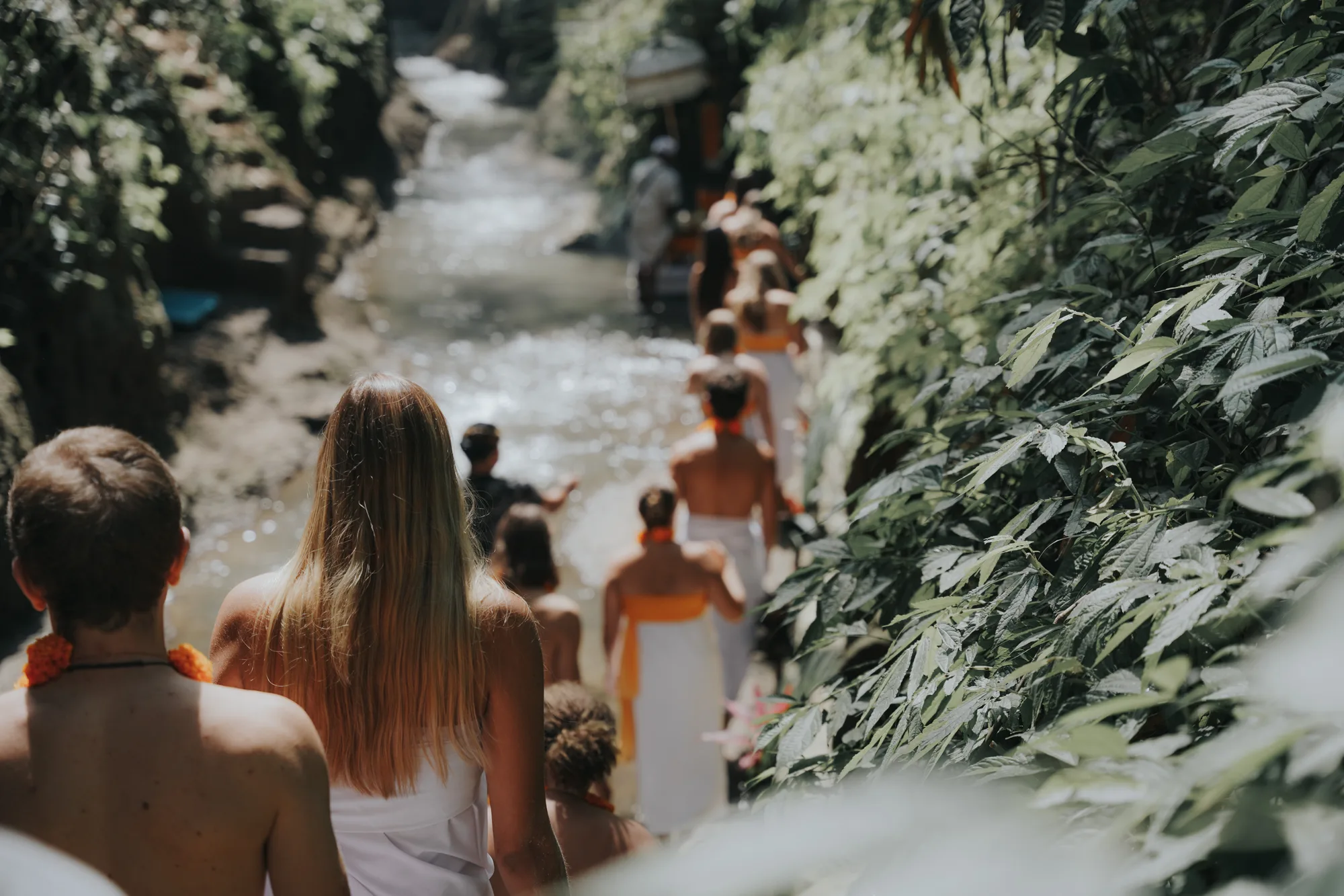 Students at a jungle waterfall